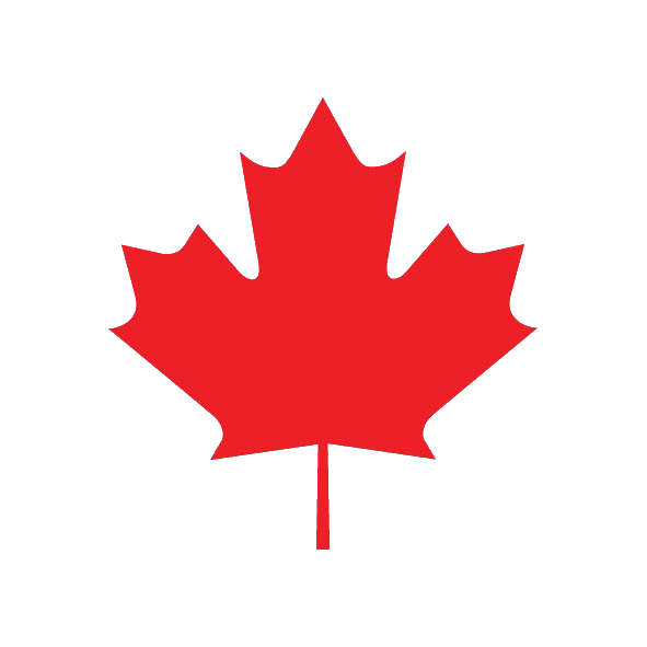 Maple Leaf - Image 2