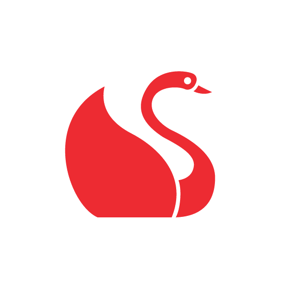 Swan - Image 2
