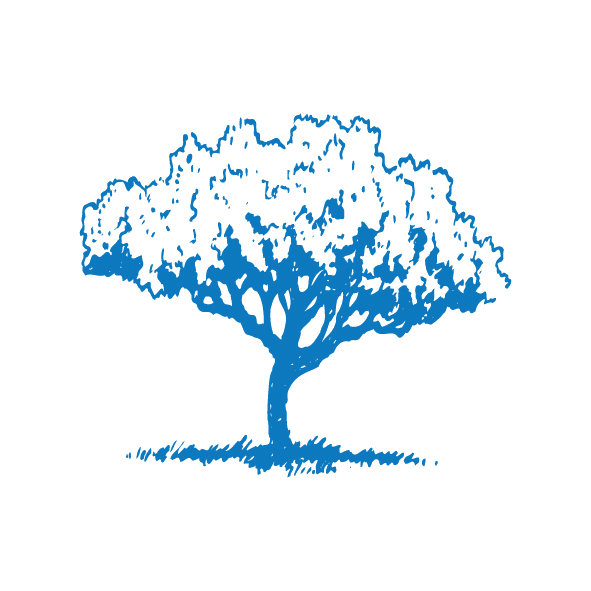Oak Tree - Image 2