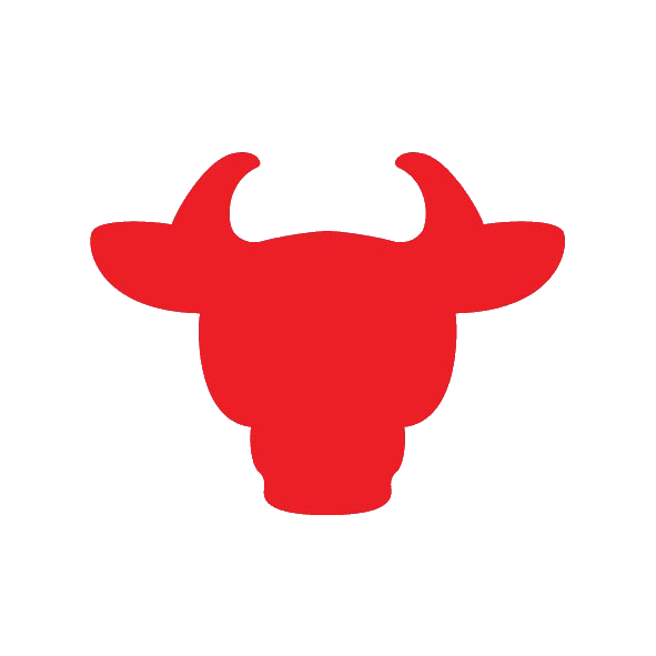 Brahma Bull - Image 2