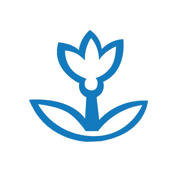 Tulip - Image 2